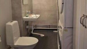 Un baño pequeño con inodoro, lavamanos y lavadora.