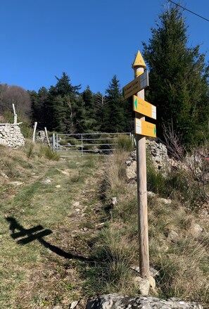 Boendeområde