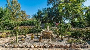 Un jardin agrémenté de cactus, d’une fontaine en pierre et de diverses plantes.