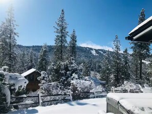 Property grounds - Great Outdoor Space, Views, Hot Tub, Dogs Welcome (Big Bear,)