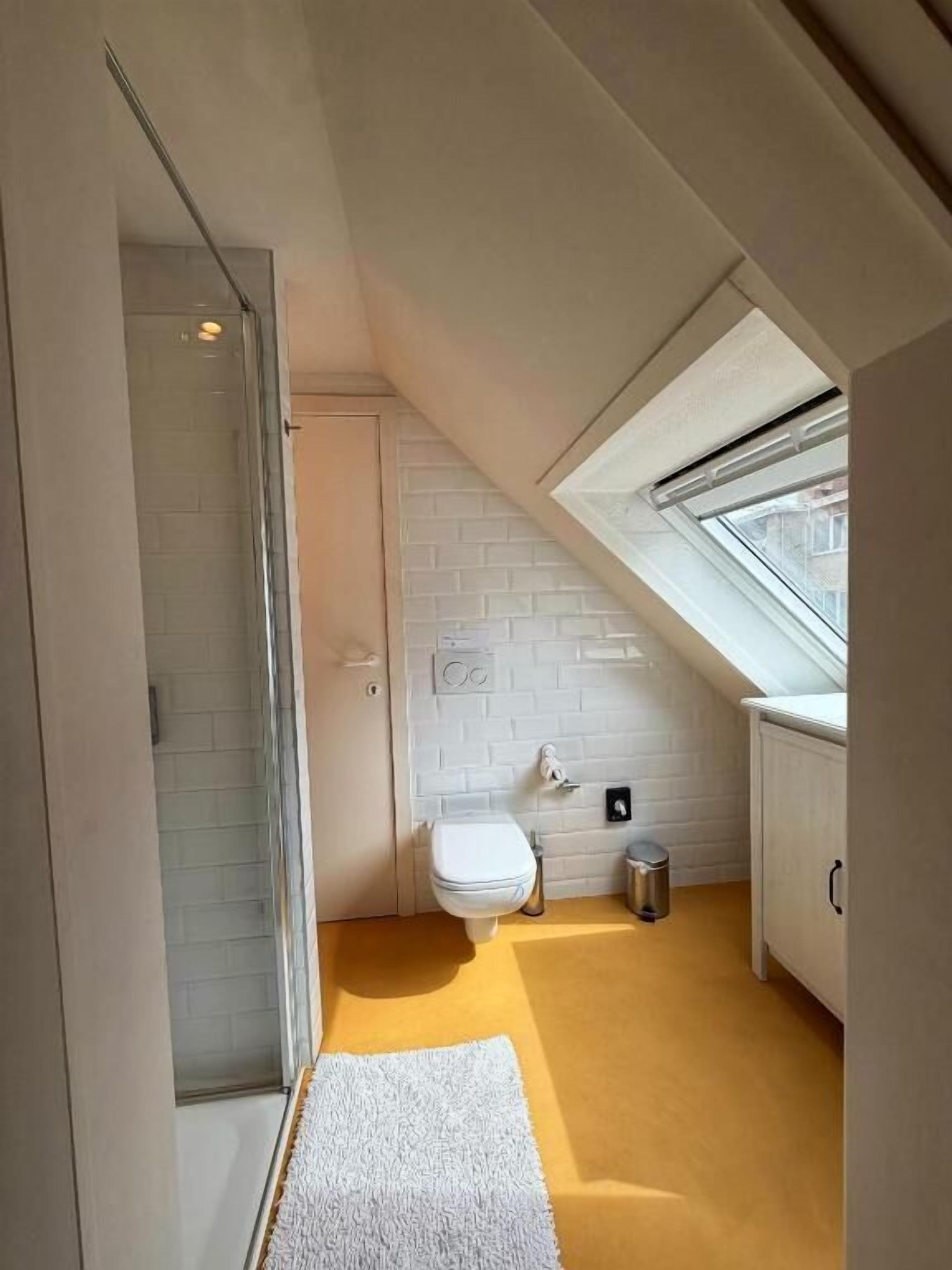 A small, modern bathroom with a skylight, a white toilet, and a small trash bin.