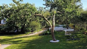 A well-maintained garden with a tree, a hammock, and a bench. - Villa Apartment in the best part of Gothenburg (Gothenburg)