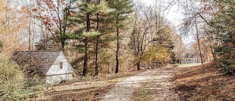 Un sendero rural que lleva a una pequeña casa blanca de techo a dos aguas, rodeada de árboles y un edificio distante.
