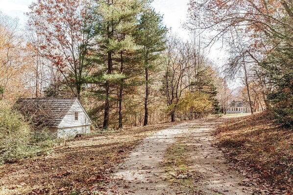 A rural path leading to a small white house with a gabled roof, surrounded by trees and a distant building.