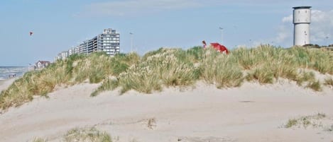 Ferienhaus | Blick von der Unterkunft
