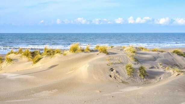 Een strand met duinen en de zee.