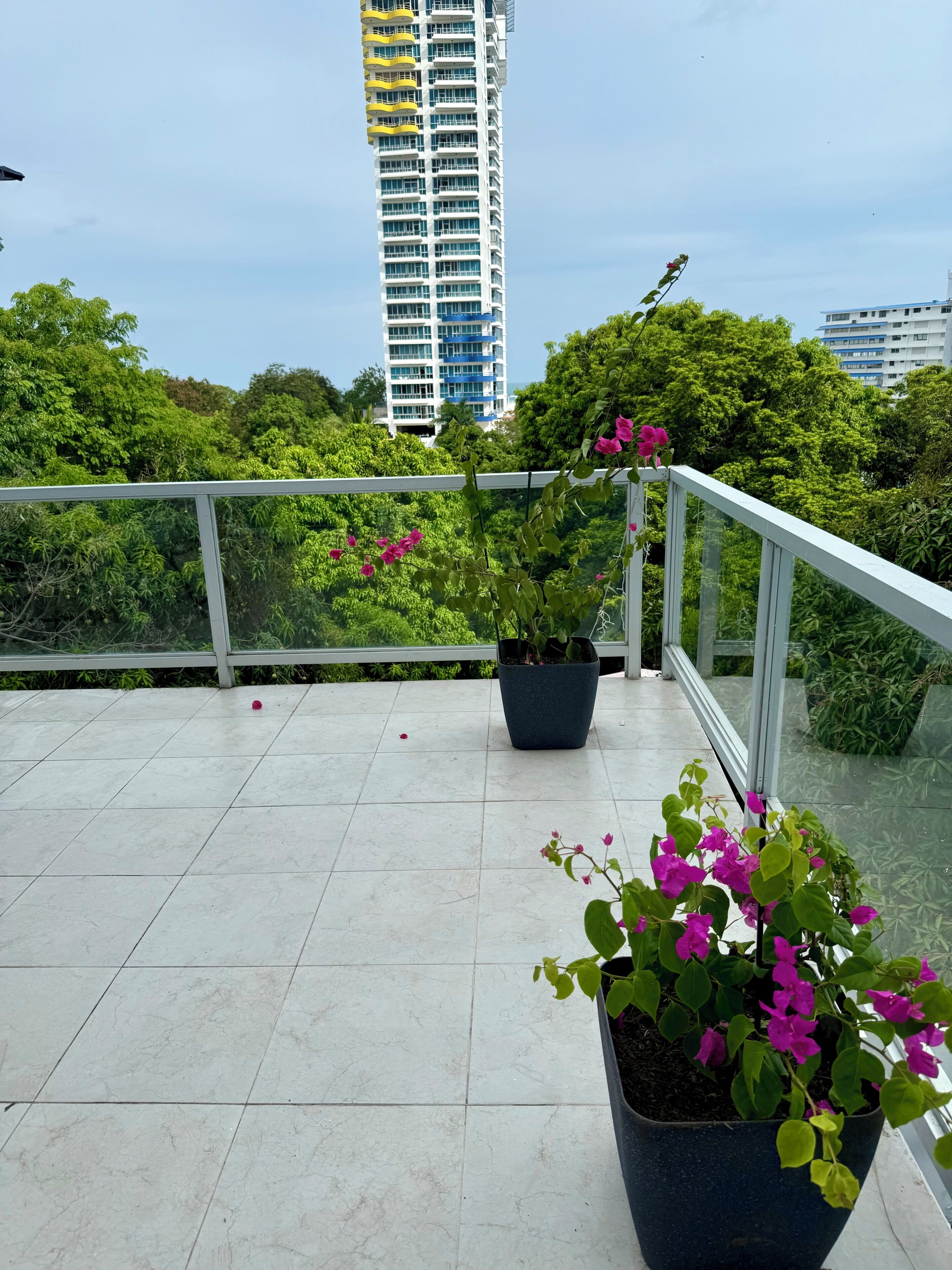 Un balcón con plantas en macetas y barandilla, con vistas a un paisaje urbano de edificios altos y vegetación exuberante.