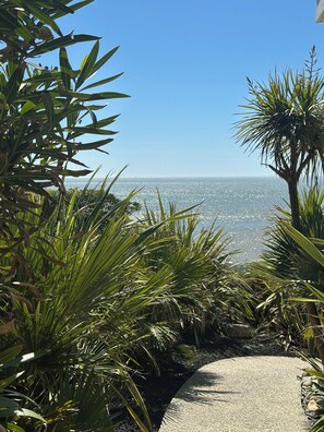 Ein Weg, der zu einem Strand mit Palmen und freiem Blick auf den Ozean führt.