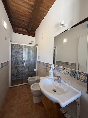 Ein Badezimmer mit Dusche, zwei Toiletten, einem Waschbecken und einem Spiegel.