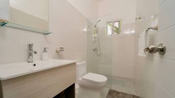 A modern bathroom with a glass shower enclosure, a white toilet, and a vanity with a mirror.