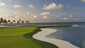 Un parcours de golf avec un obstacle d’eau, des palmiers et un ciel dégagé.