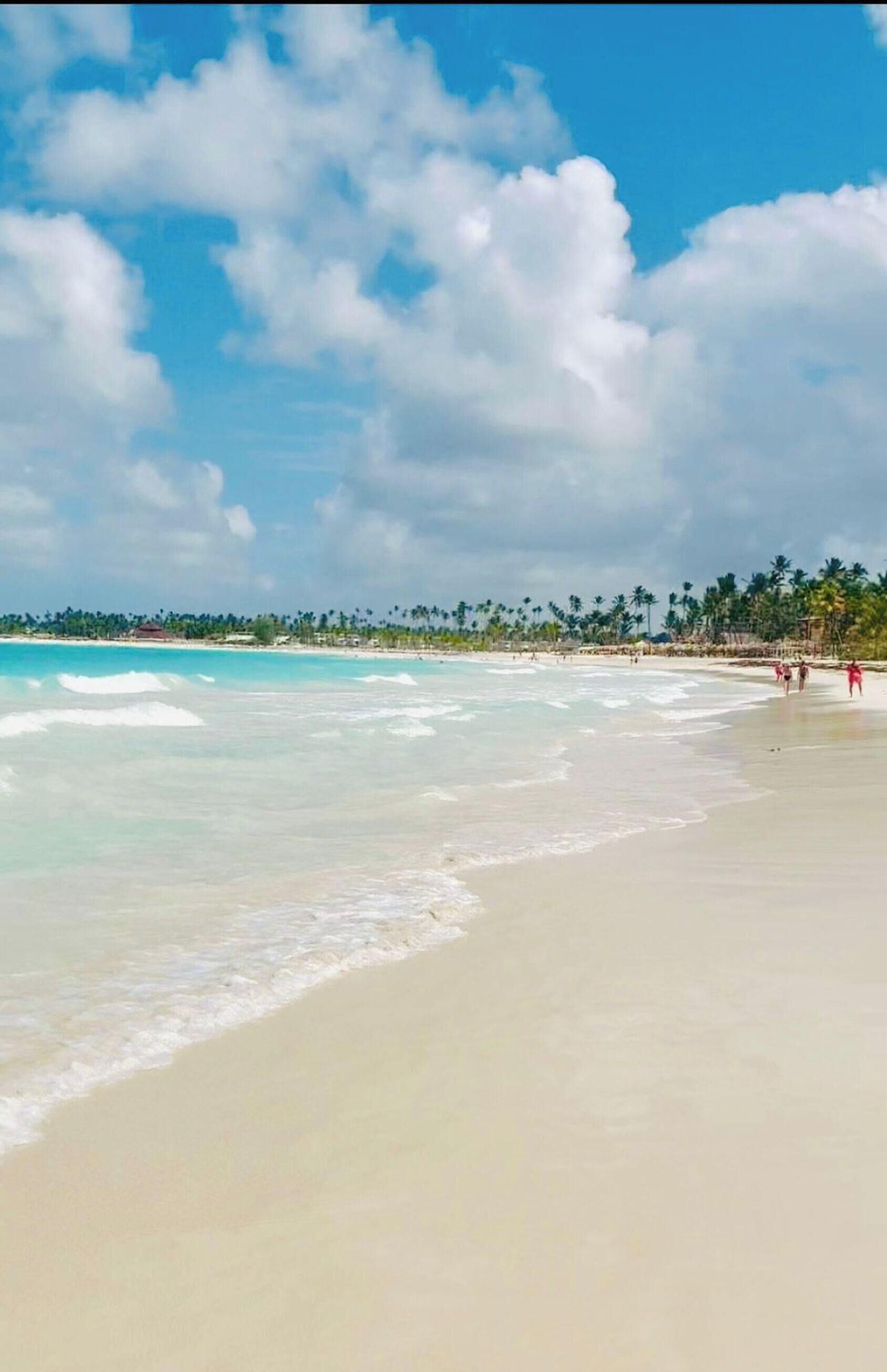 Une plage à l’eau turquoise et limpide, un rivage sablonneux et, au loin, une rangée de palmiers.
