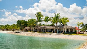 A beachfront hotel with thatched-roof structures, palm trees, and a clear view of the ocean. - 2-level Retreat Jacuzzi Free Airport Transfer (Punta Cana)