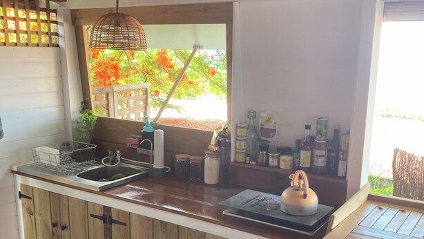 Cozinha com ilha de madeira, luminária pendente e janela com vista para árvores.