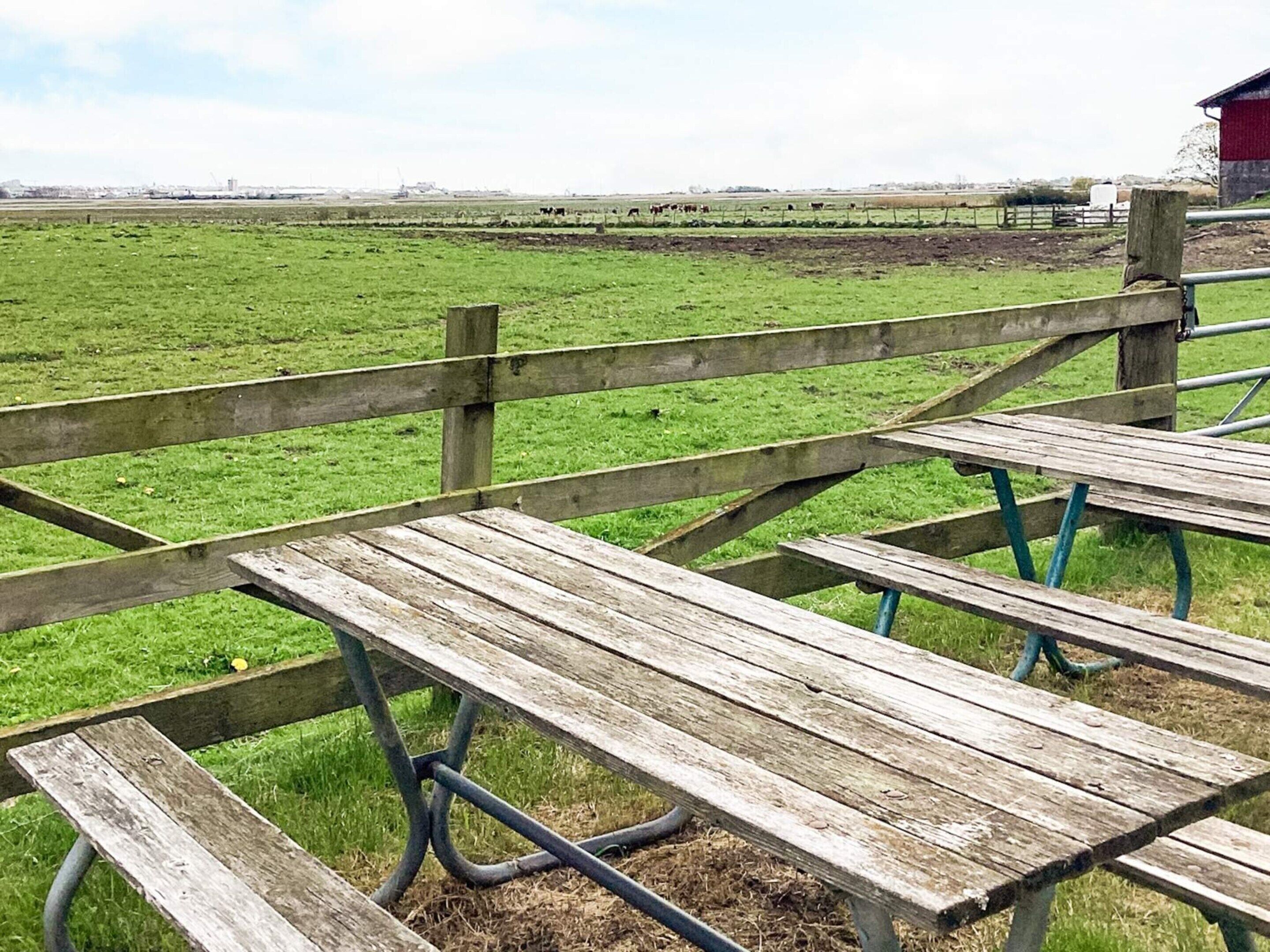 Una valla de madera y una mesa de picnic en un campo cubierto de hierba, con vacas al fondo.