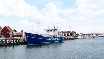 A harbor with a blue boat named 'FLADENBA TARNA' docked at a pier.