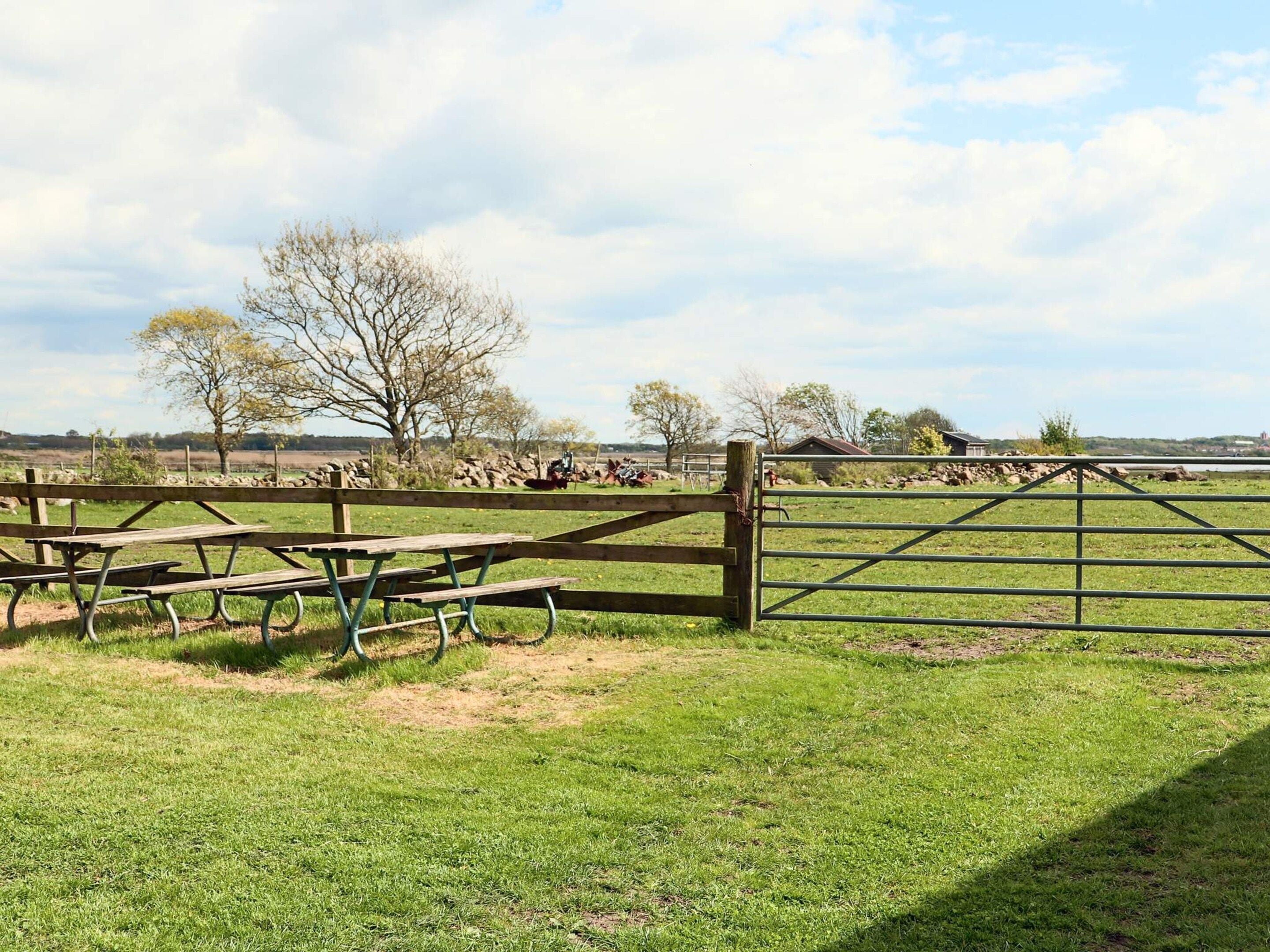 A grassy field with a picnic table and a metal gate.