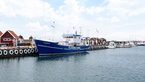 Un puerto con un barco azul llamado 'FLADENBA TARNA' amarrado a un muelle, rodeado de edificios y otros barcos.