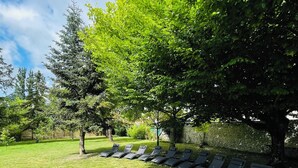 Eine Rasenfläche mit einer Reihe von Liegestühlen unter einem großen Baum.