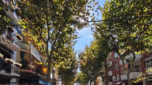 A tree-lined street with outdoor seating and shops on either side.