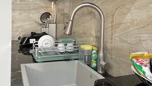 Una cocina con un lavabo, un escurreplatos, una cafetera y una estantería con una planta.