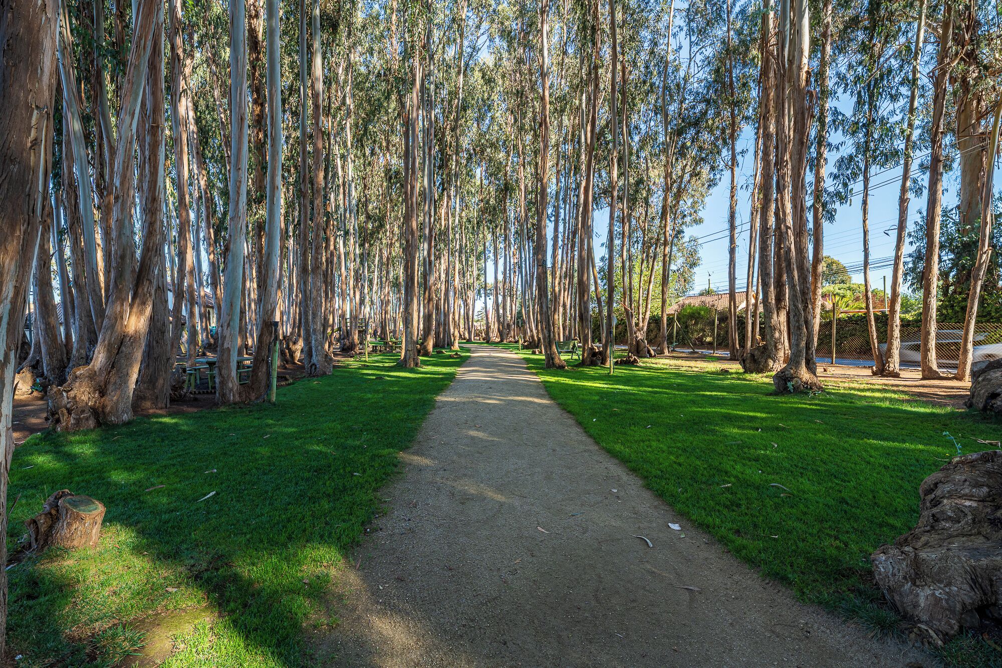 Parco della struttura