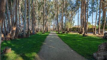 Parco della struttura