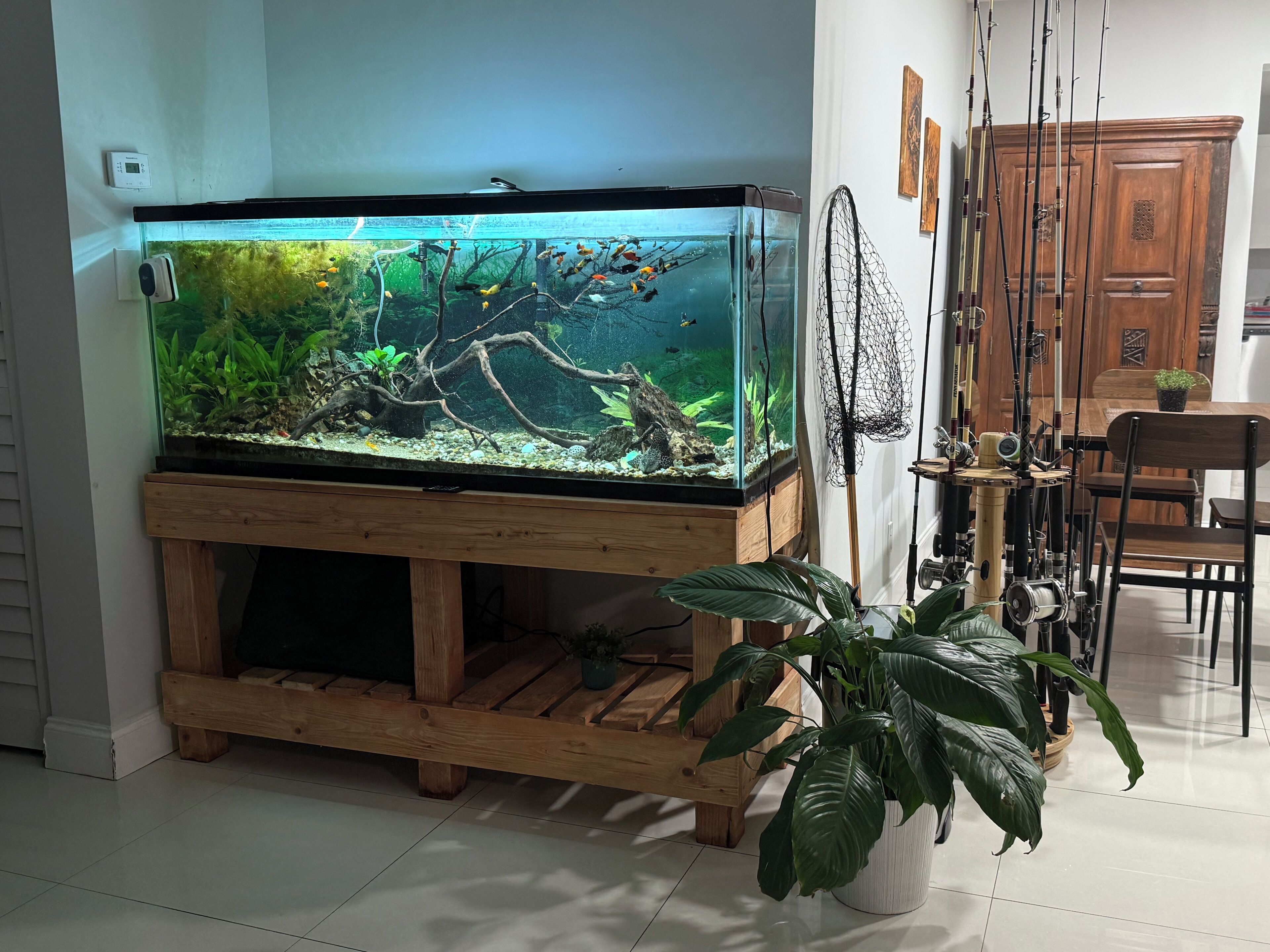 A large fish tank on a wooden stand with a potted plant nearby.