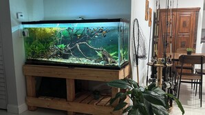 Et stort akvarium på et træstel med en potteplante i nærheden.