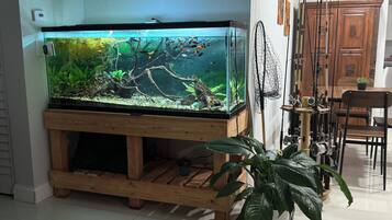 A large fish tank on a wooden stand with a potted plant nearby.