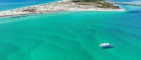 Condo, Multiple Beds (Pelican Isle 317) | Beach | On the beach