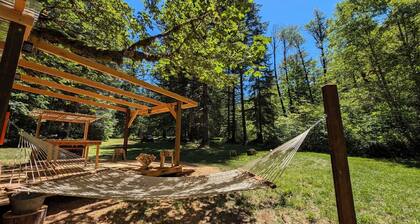 A beautiful pet friendly-off leash Glamping Camp