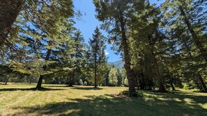 Imagen general