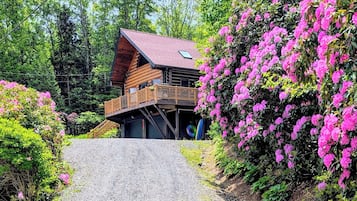 Udendørsområde
