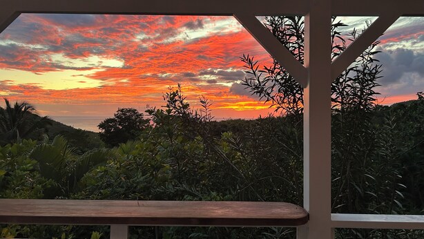 Vista a través de una ventana con marco de madera, mostrando un paisaje de vegetación densa y un cielo al atardecer.