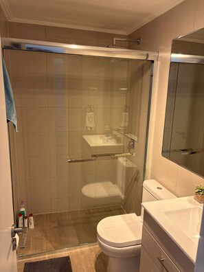 A modern bathroom with a glass-enclosed shower, a toilet, and a vanity with a mirror. - Disegni 15 - First line apartment Sea view and relaxation (Coquimbo)