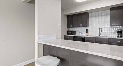 Newly Renovated Unit in Central Spfld! #303