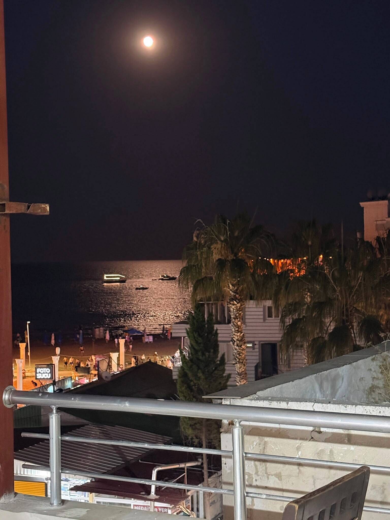 A night view of a beach with a moon in the sky, palm trees, and a building with a balcony.