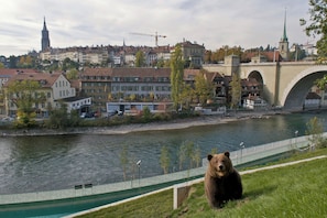 A river with a bridge, a bear, and buildings in the background.