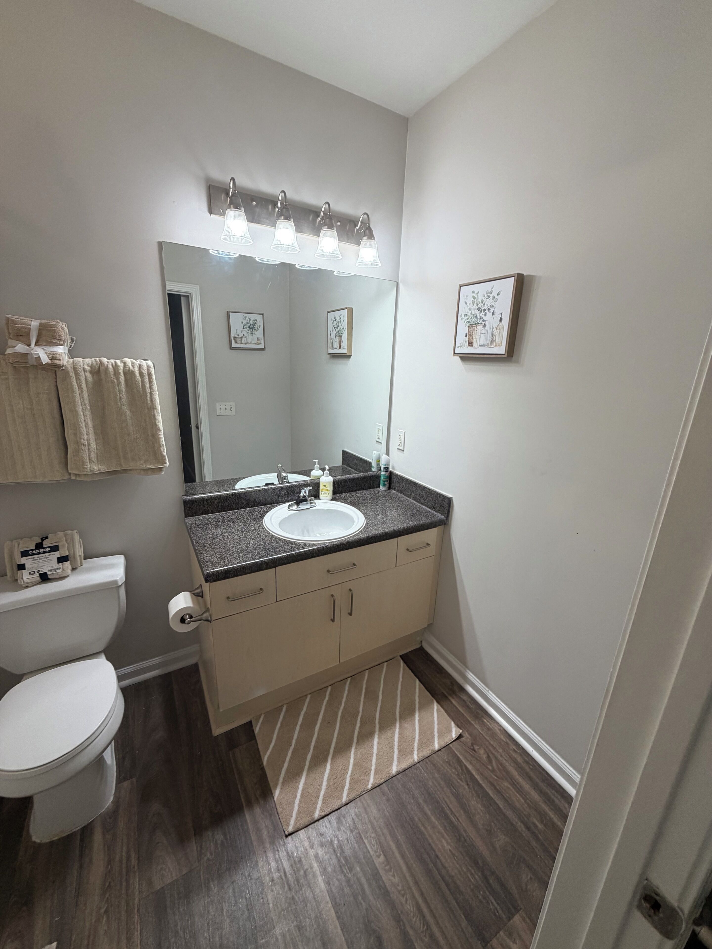 A bathroom with a white toilet, a beige vanity with a sink, a mirror, and a striped rug.
