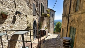 Terras