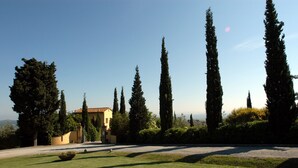 Ein angelegter Garten mit einem Gebäude, hohen Bäumen und blauem Himmel.