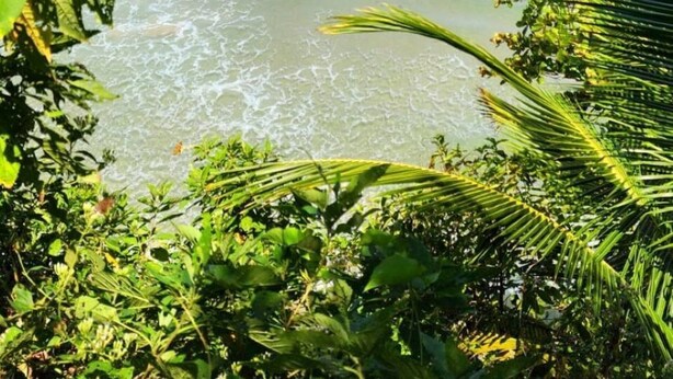 Ein Strand mit klarem türkisblauem Wasser, darin schwimmende Menschen und üppige Vegetation im Vordergrund.