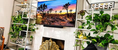Un salon avec un téléviseur, des étagères ornées de plantes, une cheminée et un tapis à motifs zébrés.