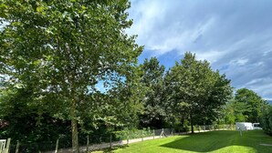 Un espace extérieur verdoyant, avec des arbres et une clôture.