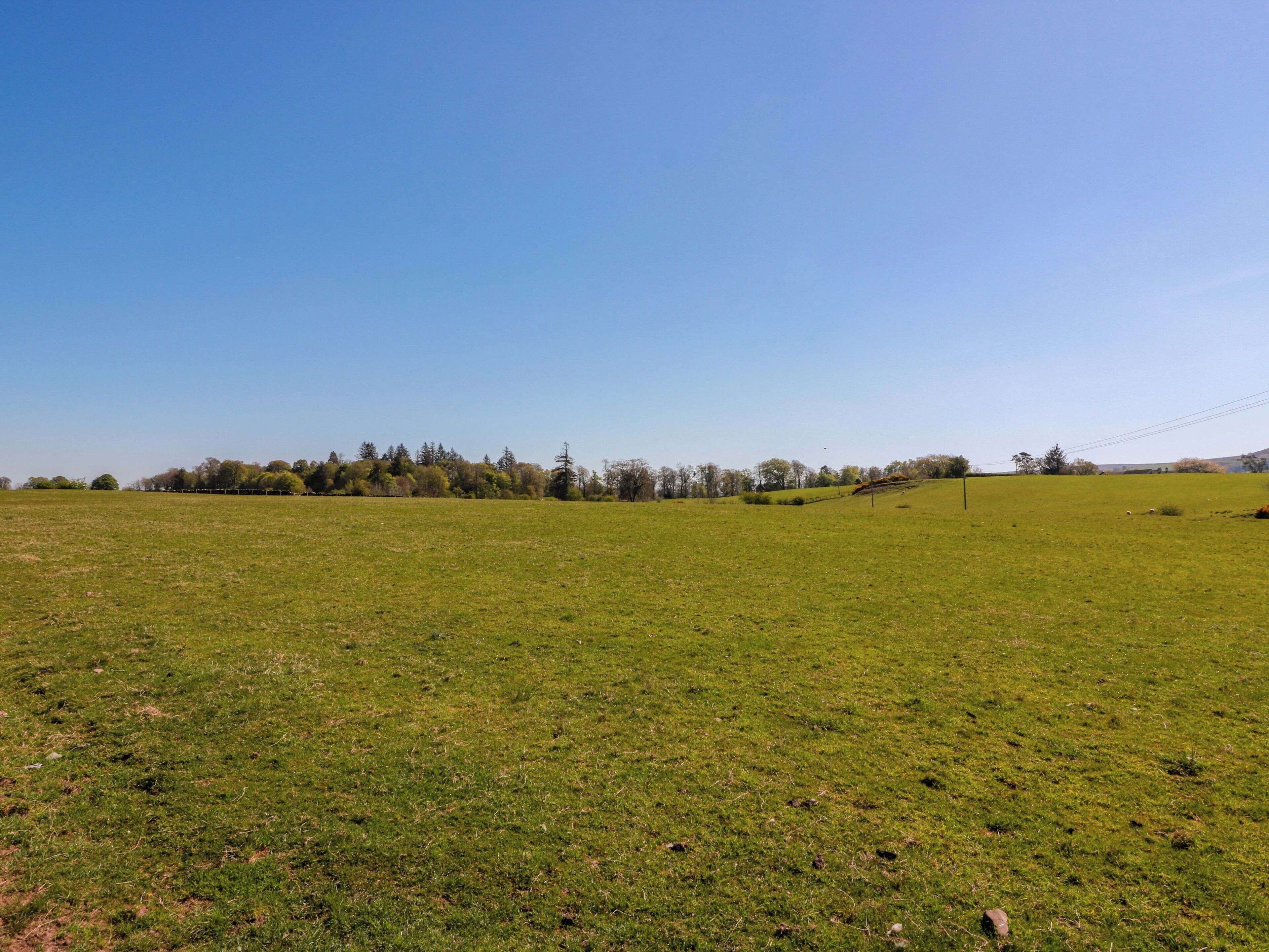 A grassy field with a fence, trees, and a clear sky.