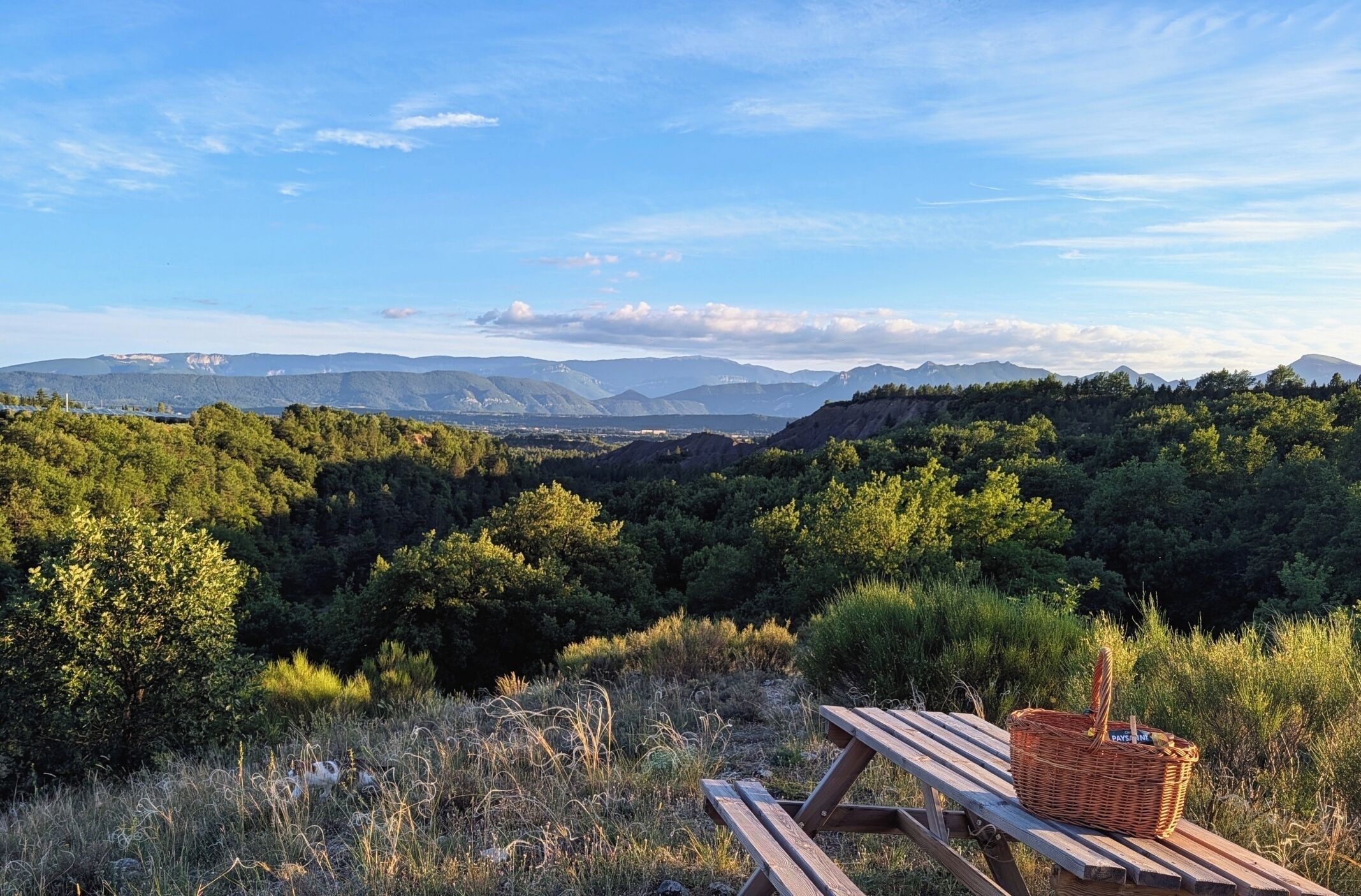A picnic table with a basket in a natural setting with mountains in the background.