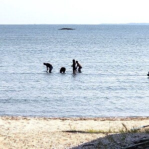 Beach - Cozy 2-bedroom oceanfront cottage in beautiful Westbrook with AC, beach gear + (Westbrook)