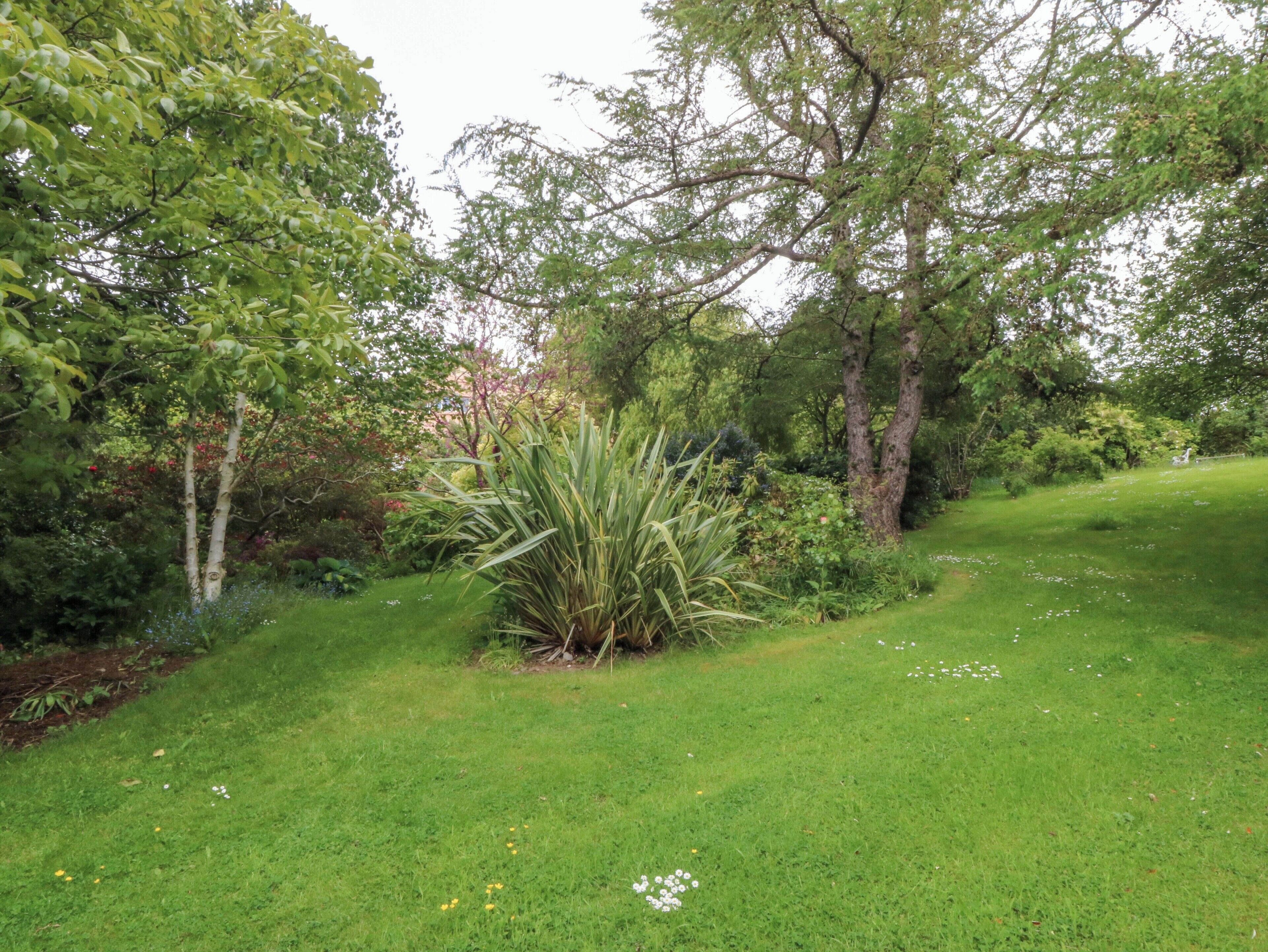 Un jardín exuberante con diversas especies de árboles y plantas.