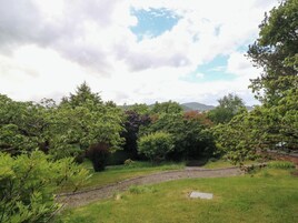 A grassy area with trees and a gravel path.